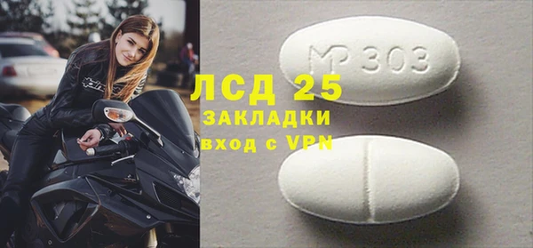прущие грибы Володарск