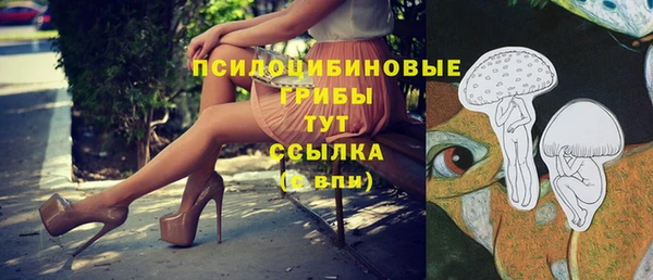 прущие грибы Володарск