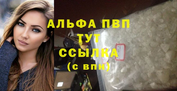 гидра Волоколамск