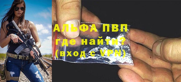 прущие грибы Володарск