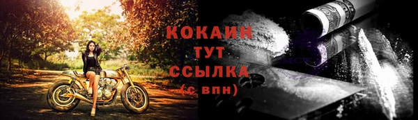 гидра Волоколамск