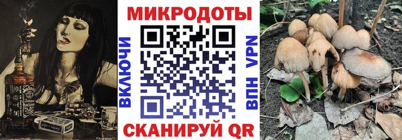Купить Гулькевичи Псилоцибиновые грибы мухоморы